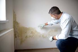 Best Commercial Mold Inspection  in Baidland, PA